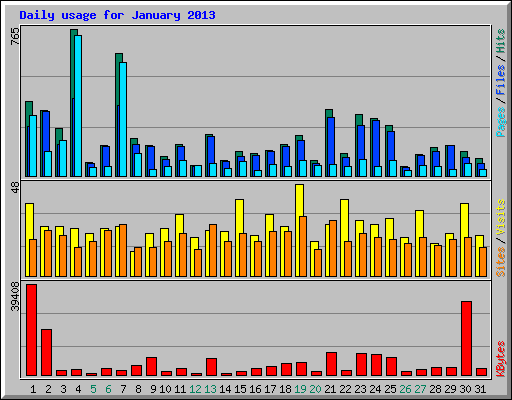 Daily usage for January 2013