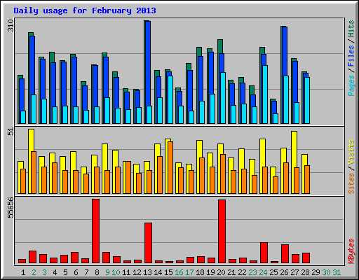 Daily usage for February 2013