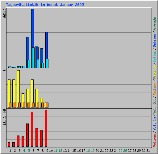 Tages-Statistik im Monat Januar 2025