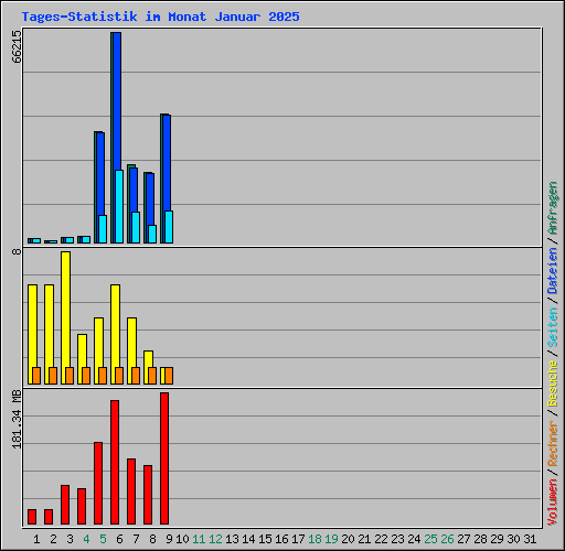 Tages-Statistik im Monat Januar 2025