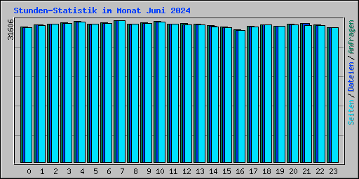 Stunden-Statistik im Monat Juni 2024