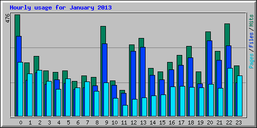 Hourly usage for January 2013