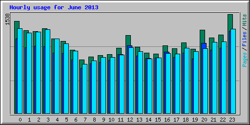 Hourly usage for June 2013