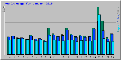 Hourly usage for January 2016