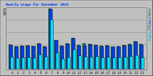 Hourly usage for December 2016