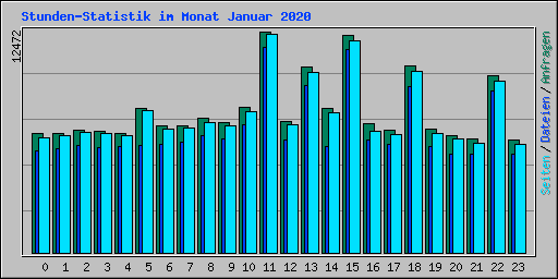 Stunden-Statistik im Monat Januar 2020