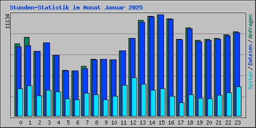 Stunden-Statistik im Monat Januar 2025