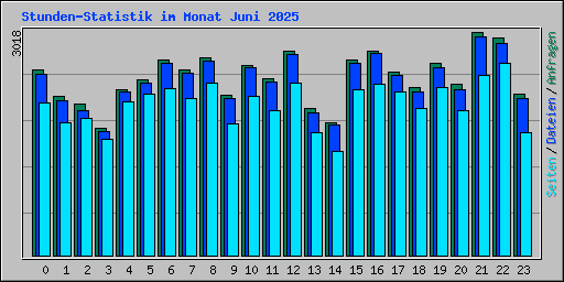 Stunden-Statistik im Monat Juni 2025